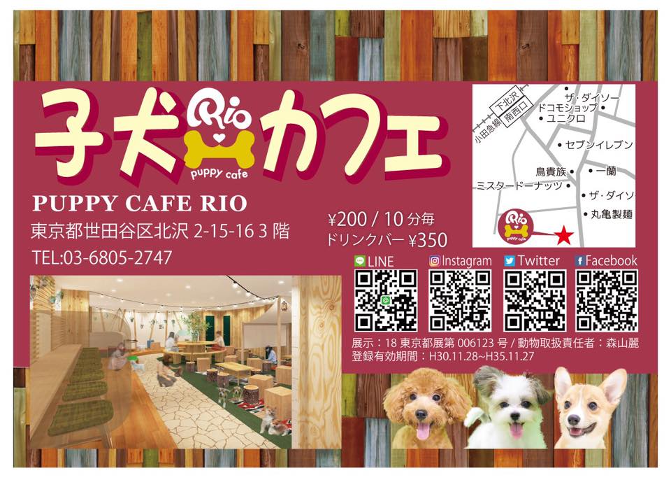 下北沢に子犬カフェがオープン…「成犬になったらどうするの？」疑問視する声が続々と寄せられる Togetter