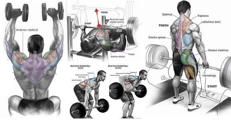 fit_rg's tweet photo. Which muscle group do you want to target? With over 80 targeted exercises, RG-FIT total body gym! Get exercises for all major muscle groups.
The Best Gym in Jeddah

Instagram: r.g_fit
Email: info@rg-fit.com
Phone + WhatsApp: 0555 6262 98
#Gym #Workout #JeddahGYM
@gymjeddah https://t.co/FbUSQS7zQ1