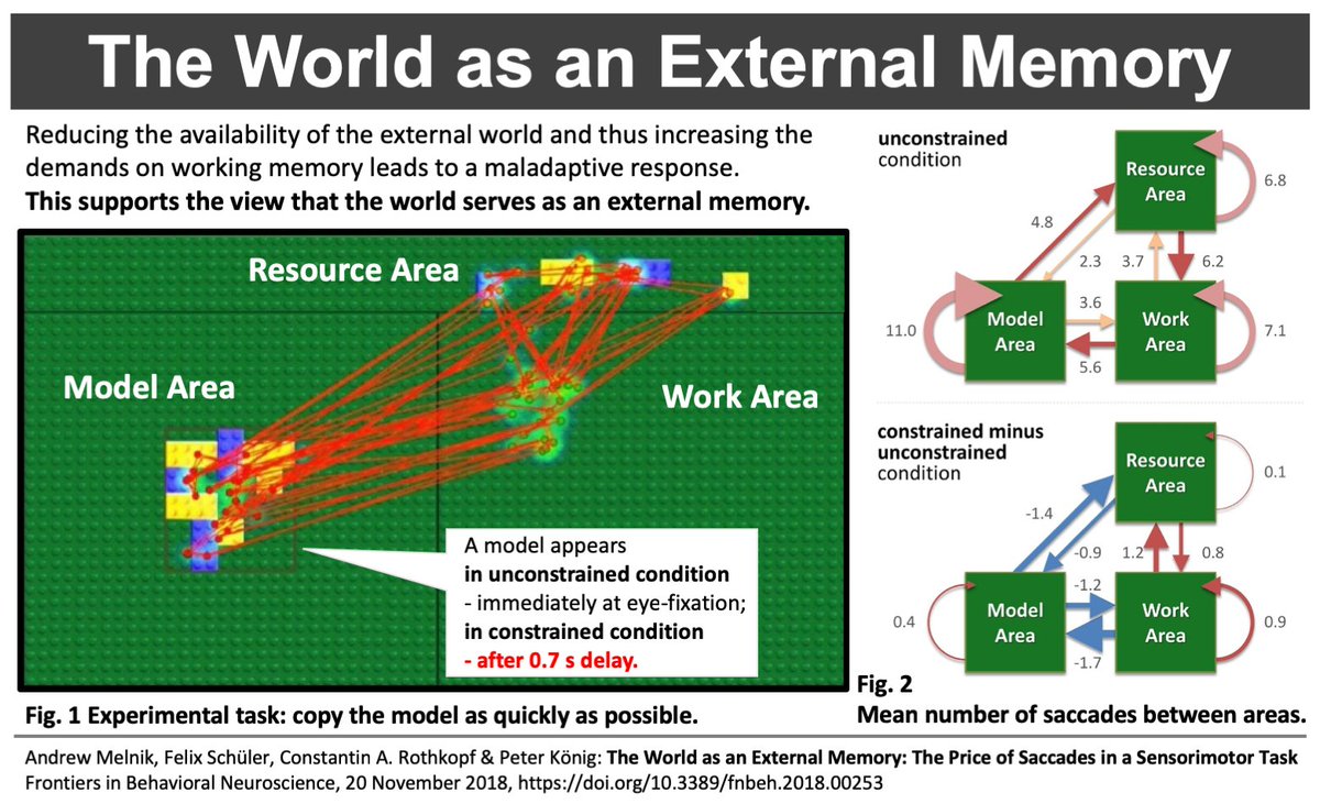 New evidence of the world 🌍🧠 as an external memory:
memorization in a sensorimotor task seems less efficient than a visual check 👀
doi.org/10.3389/fnbeh.…

by Andrew Melnik, Felix Schüler, Constantin A. Rothkopf <a href="/konigpeter/">Peter König</a>
embodied cognition #workingmemory #eye-tracking