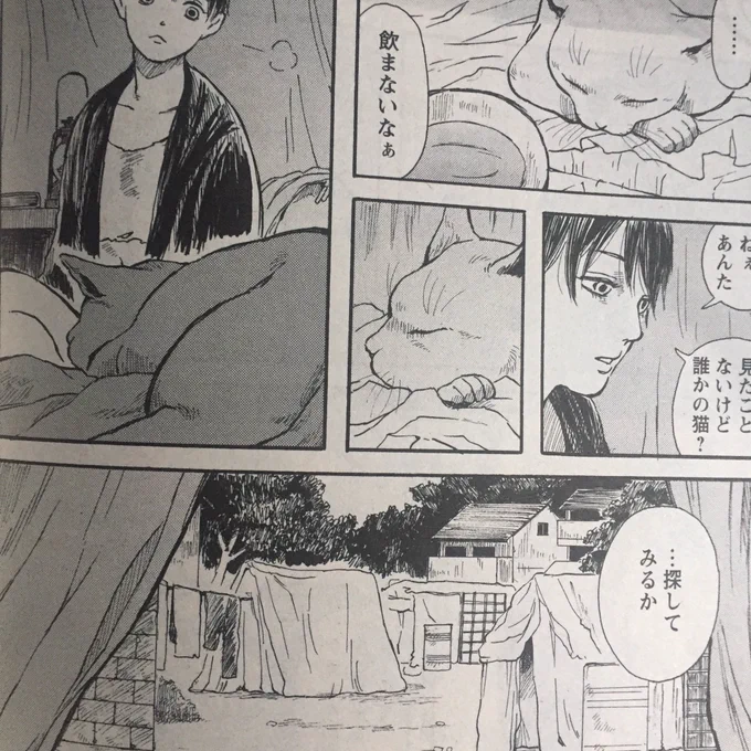 本日発売の漫画アクションにて「ウォーキング・キャット」13話が掲載されています。ユキが出会ったのは…?
よろしくお願いいたします! 