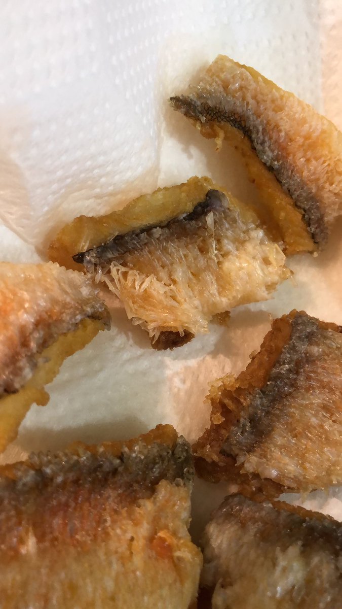 吉野七宝実 私さ 集合体恐怖症でこのアマダイの立った鱗見ると鳥肌立っちゃう 自分で作ったし 食ったし うまかったのに ダンボールの断面とか 蜂の巣とか 蓮の実とか そーゆー穴 穴の集まり見るとゾワゾワしちゃう そーゆー人いる T