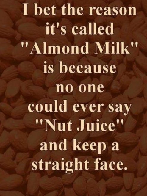 At home pondering 🤔... 🥛🍪🥛🍪🥛🍪🥛🍪 😂😂😂😂😂😂😂😂😂 #almondmilk #nutjuice #Vegetarian #booty #latenightthoughts<a href="/tag/almondmilk"class="tags">#almondmilk</a><a href="/tag/booty"class="tags"><span>#booty</span></a><a href="/tag/latenightthoughts"class="tags"><span>#latenightthoughts</span></a><a href="/tag/vegetarian"class="tags"><span>#vegetarian</span></a><a href="/tag/winter"class="tags"><span>#winter</span></a>