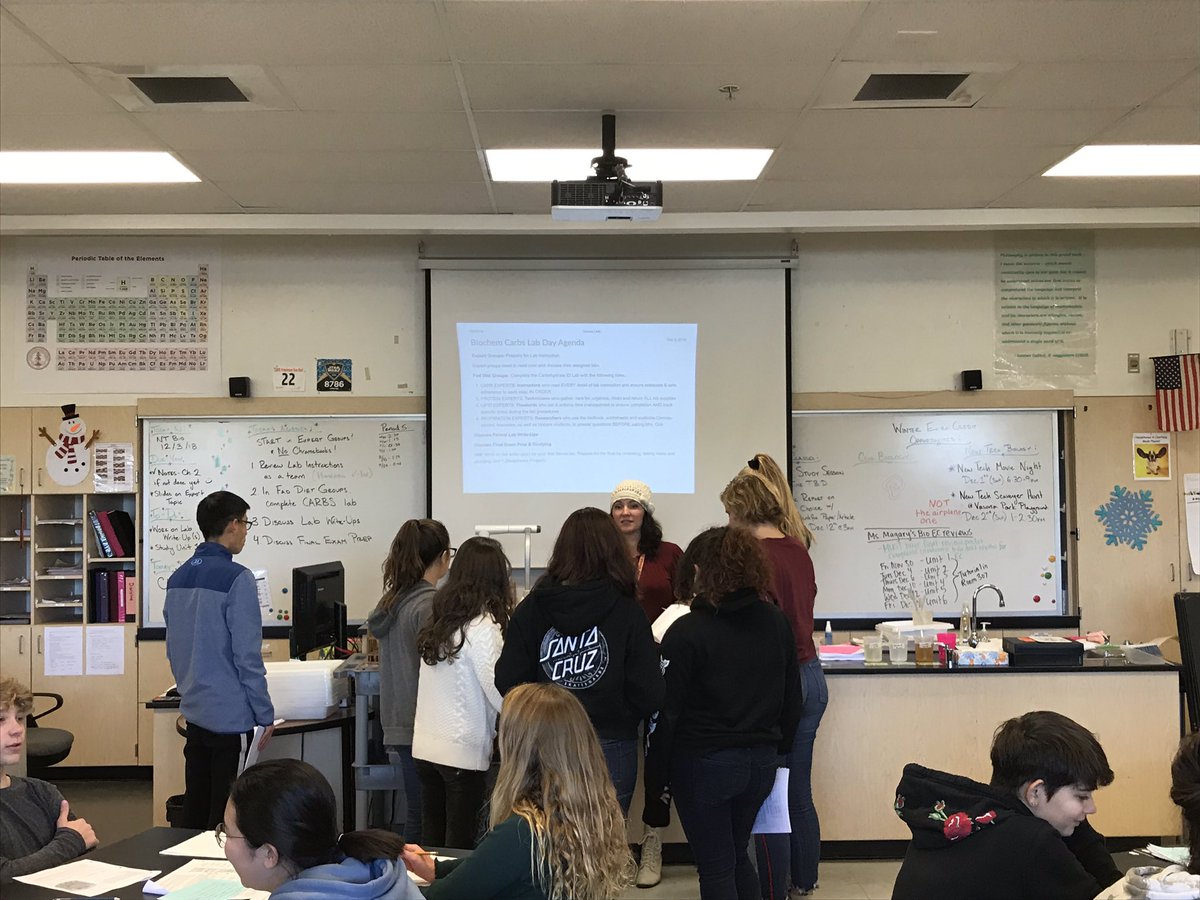 Stephanie Rothstein tweet media