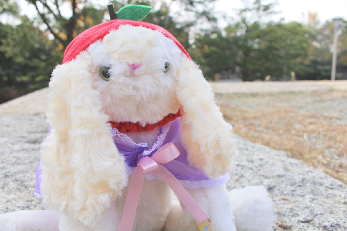僕とマルレのぬい撮り日記 ブログやってます در توییتر ブログやってます 手作りぬいぐるみのマルレとお喋りしている風に書いていますのでよかったら見てください ブログ ブログやってます ぬい撮り ぬいぐるみ ピカチュウ ポケモン ユニベア 手作り はてな