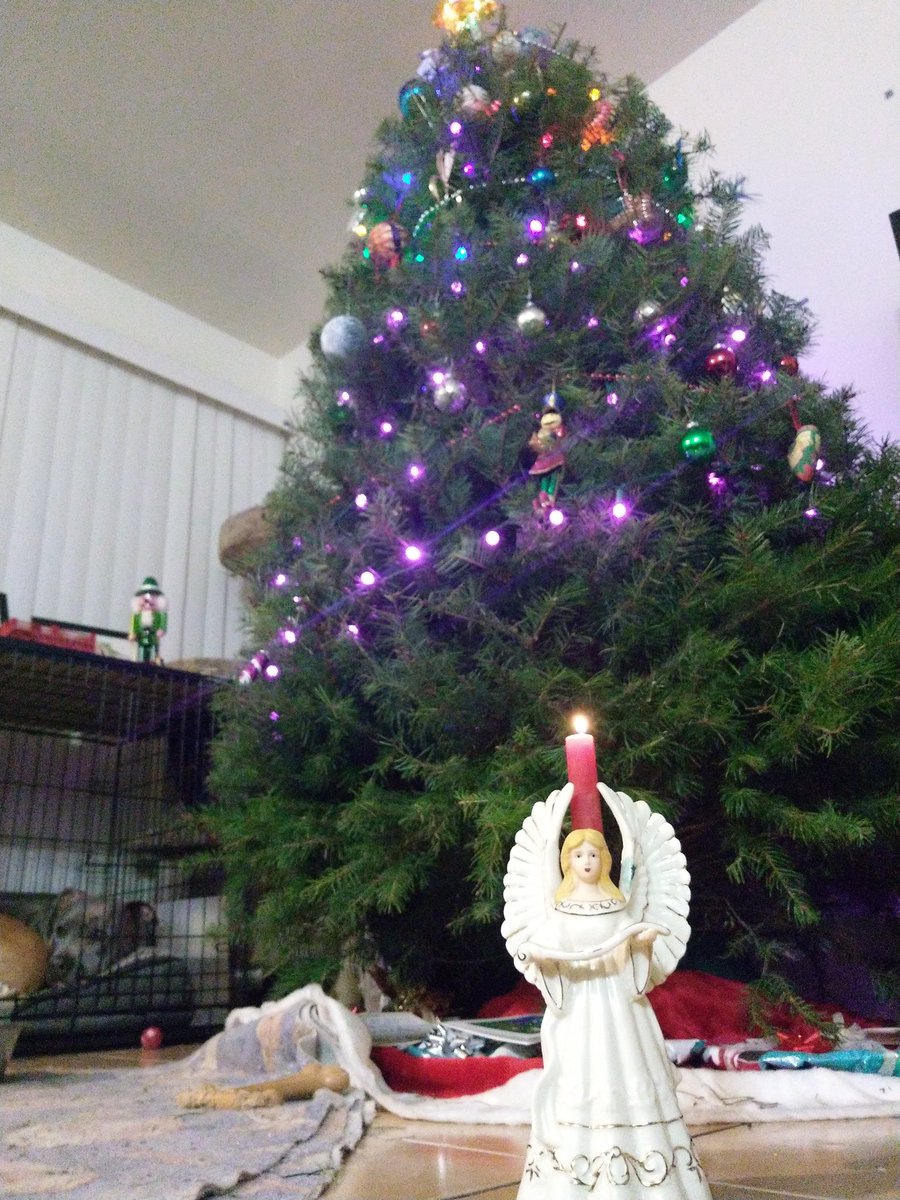 alwaysday_dream's tweet photo. Happy Hannakkah! We may have a tree and and angel. Doesn't mean we can't celebrate as well!πππππππππ #happyholidays #givecheer #givelove #guardianangel #nutcracker #Hanukkah2018 #dogsarehappy #christmascheer #holidaycheer https://t.co/W964BxUYDG