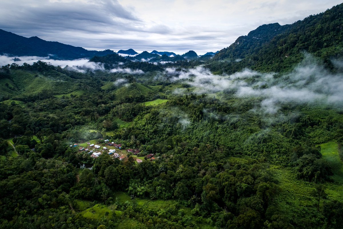 LandAllianceID's tweet photo. #BacaSekarang : Mencari resep meredakan konflik di kawasan hutan negara. https://t.co/SQTJ9z23sb https://t.co/hF0tCHdAju