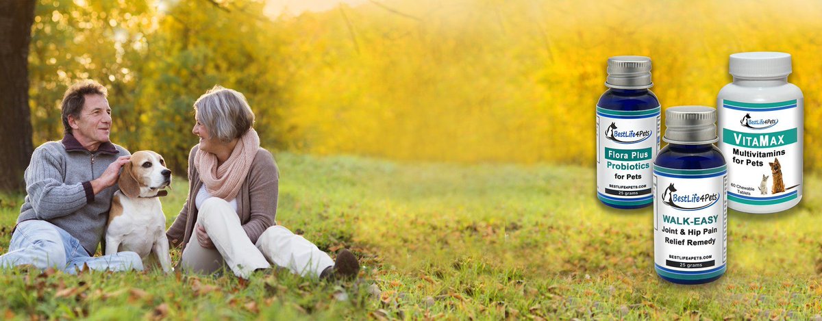 petsability's tweet image. Whether your #dog and #cat have been in the family for years, or you just brought home a new puppy or #kitten and want to provide the best possible care for them, Petsability has a range of natural supplements to suit every stage of life.
buff.ly/2U8VmkE 
#doglovers