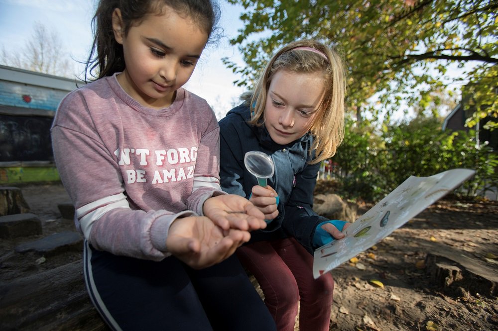Werk je op een basisschool of middelbare school en wil je je schoolplein groener maken? Wij helpen je met subsidie #groeneschoolpleinen. Lees het nieuwsbericht bit.ly/2RDpRh2