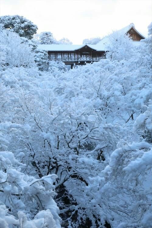 What can you do in winter in japan