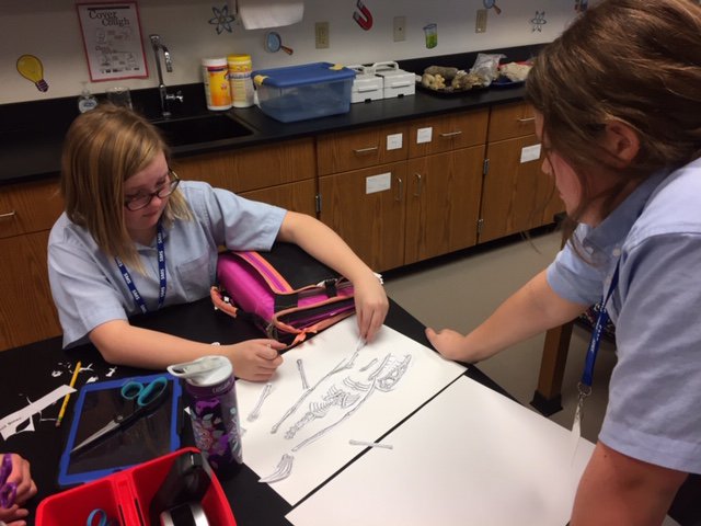 StMonicaBearcat's tweet image. Our 6th graders are learning about fossils in Ms. McCready&apos;s class. Here is a glimpse of their mystery fossil lab. #SMSDallas #SMSproud #SMSSTEM