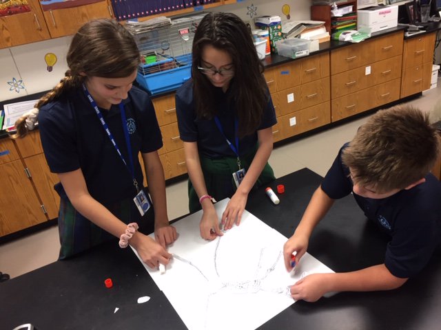StMonicaBearcat's tweet image. Our 6th graders are learning about fossils in Ms. McCready&apos;s class. Here is a glimpse of their mystery fossil lab. #SMSDallas #SMSproud #SMSSTEM
