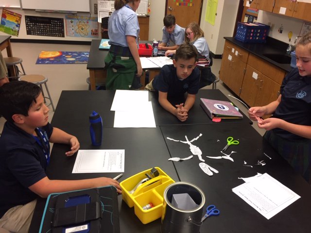 StMonicaBearcat's tweet image. Our 6th graders are learning about fossils in Ms. McCready&apos;s class. Here is a glimpse of their mystery fossil lab. #SMSDallas #SMSproud #SMSSTEM