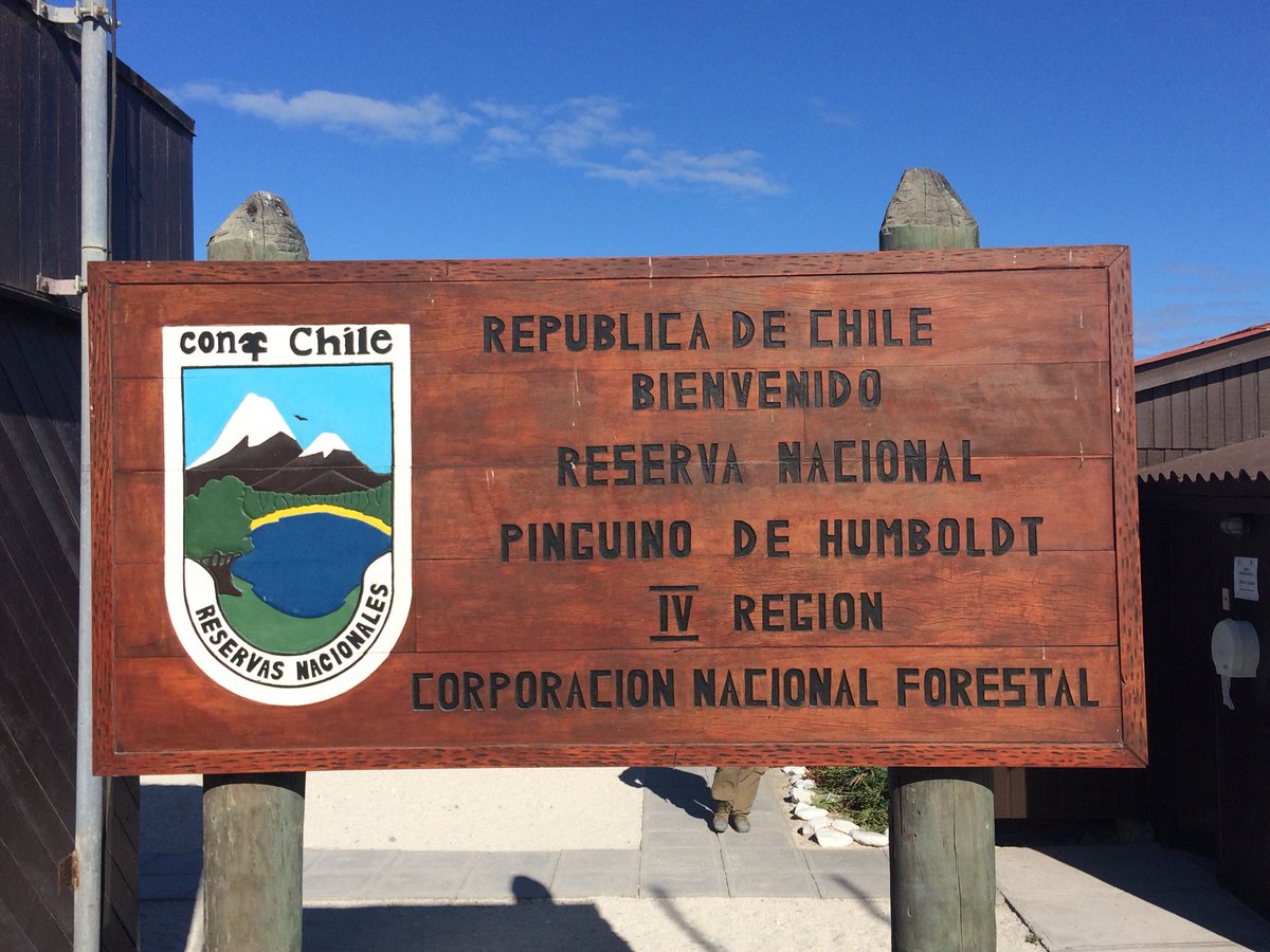 LIB_UDEC's tweet photo. 💪🏼💪🏼 Comenzando nuestros muestreos en el norte de #Chile, primera parada Reserva Nacional Pingüino de Humboldt 😎 @conaf @IEBChile @NatIntrusa_LIB @Ciencia_UdeC #especiesinvasoras #suculentas #rnph #controlEEI #especiesexoticas https://t.co/xDYUJm47k6