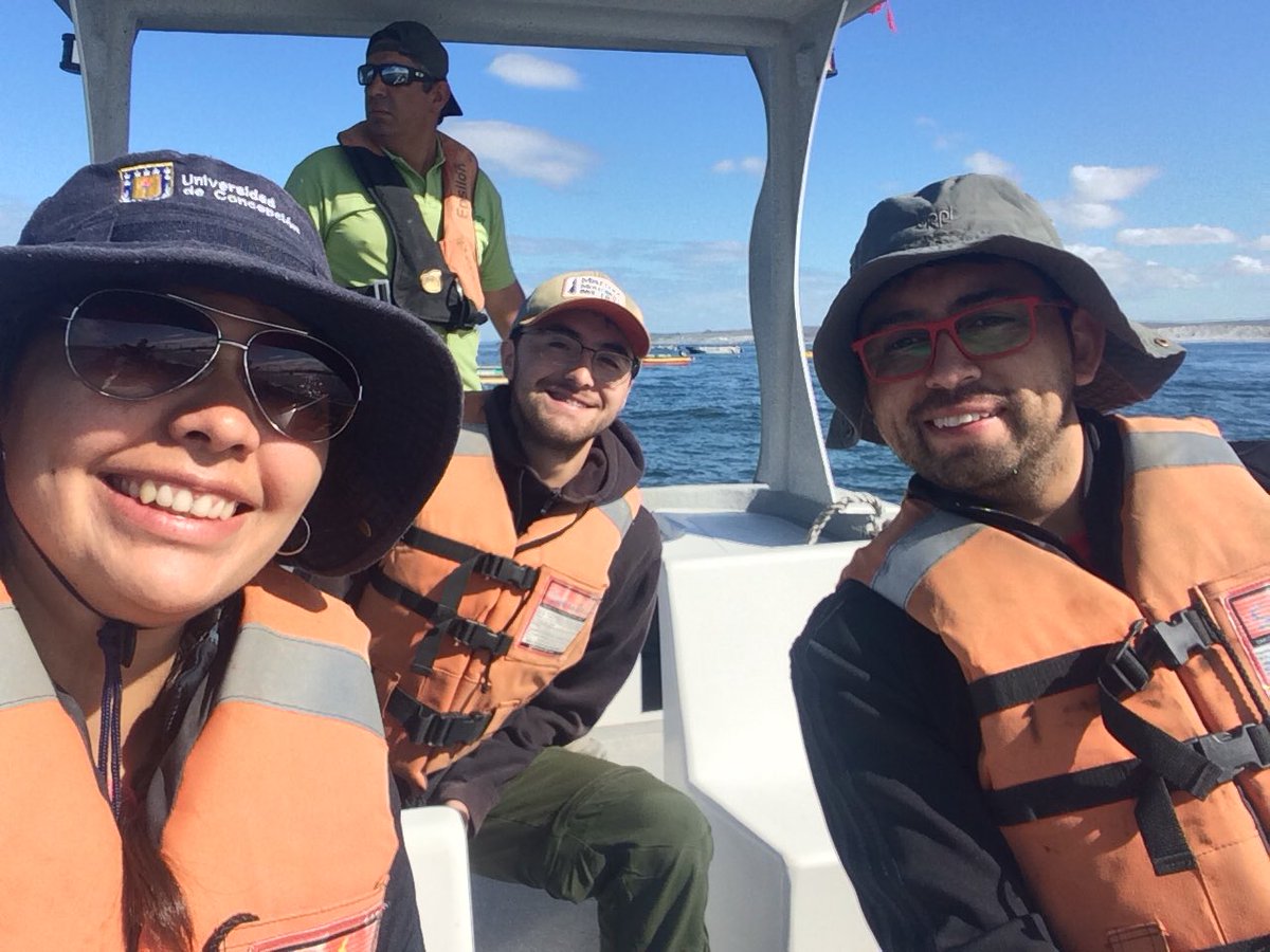 LIB_UDEC's tweet photo. 💪🏼💪🏼 Comenzando nuestros muestreos en el norte de #Chile, primera parada Reserva Nacional Pingüino de Humboldt 😎 @conaf @IEBChile @NatIntrusa_LIB @Ciencia_UdeC #especiesinvasoras #suculentas #rnph #controlEEI #especiesexoticas https://t.co/xDYUJm47k6