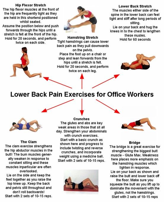 Dignity Health  Low Back Pain Exercises and Tips to Help