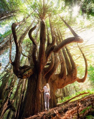 MyVacationHist's tweet photo. It's worthwhile to get lost once in awhile....
PC: @everchanginghorizon 
#TravelMore #TravelBug #Wanderlust https://t.co/EGAfEUynVv