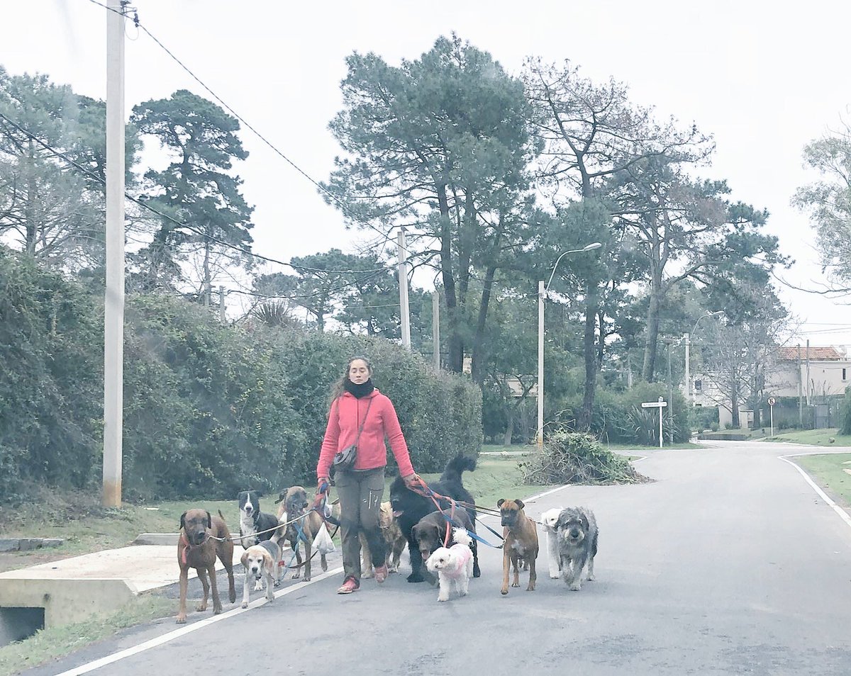 Un saludo a los amigos del <a href="/Millwallobc/">Millwall F.C. SAD</a>. Ayer debutaron, no ganaron pero el grupo sigue unido. Eso es lo importante! Vamo arriba! #internoSUMMUM2018