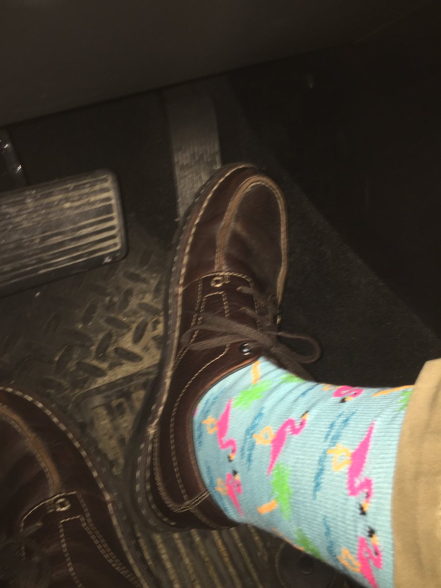 LarryMondello2's tweet photo. Well, ready or not... Larry’s back!? #Help! #WhatWasIThinking #FfffORE https://t.co/fwcBPCWn8R
