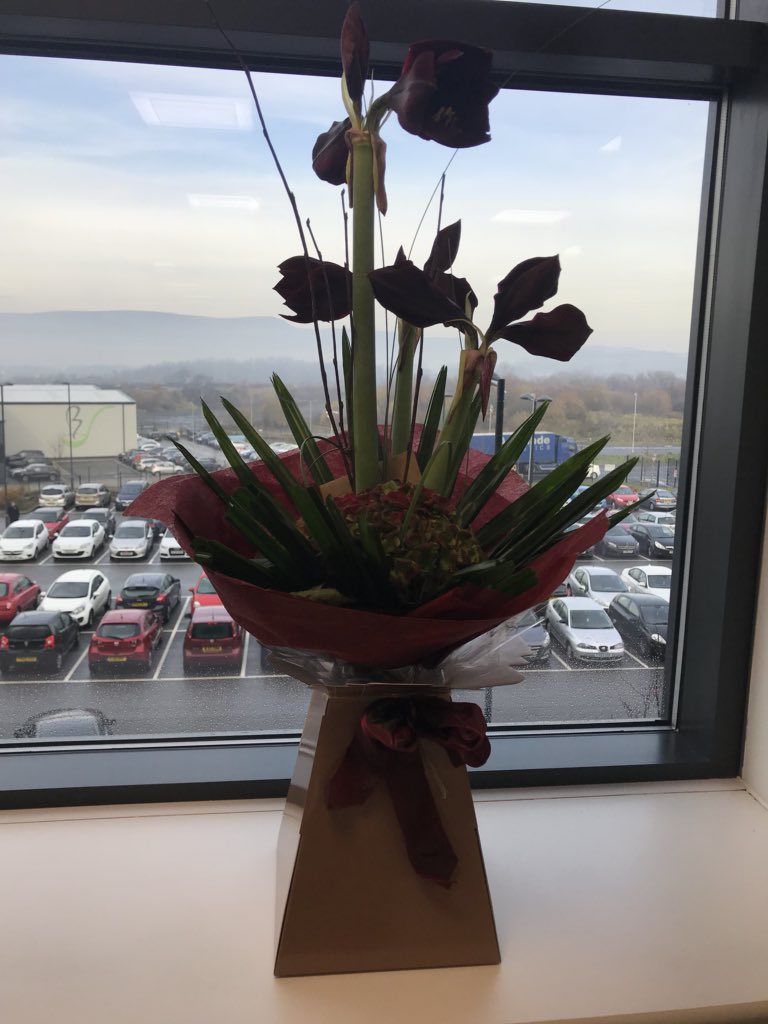 JulieRipley67's tweet photo. Beautiful flowers from my hubby @AndyofHill xx😘 https://t.co/oduZv1fXM2