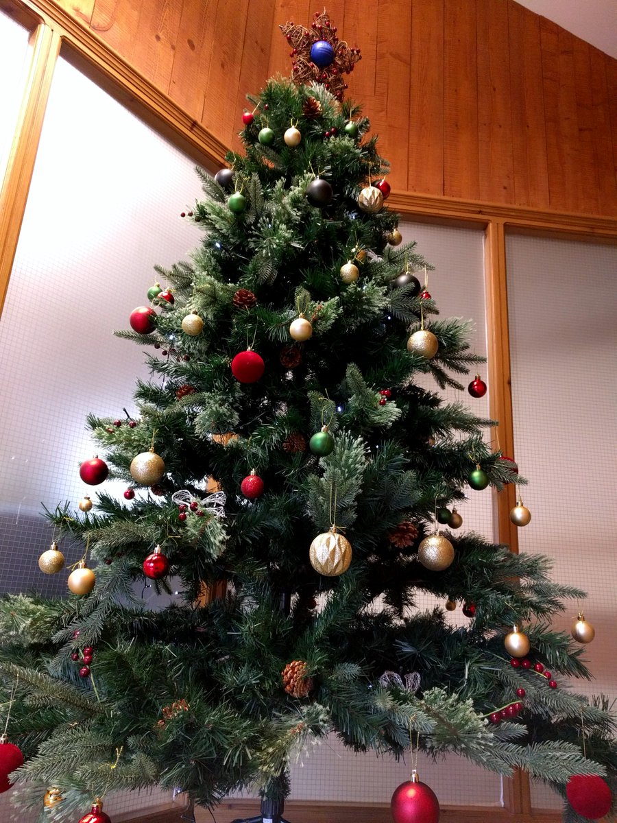 AlliesCom's tweet photo. It's December, so the Christmas decorations are going up around the office 🎄 https://t.co/1XUWaIKSfu