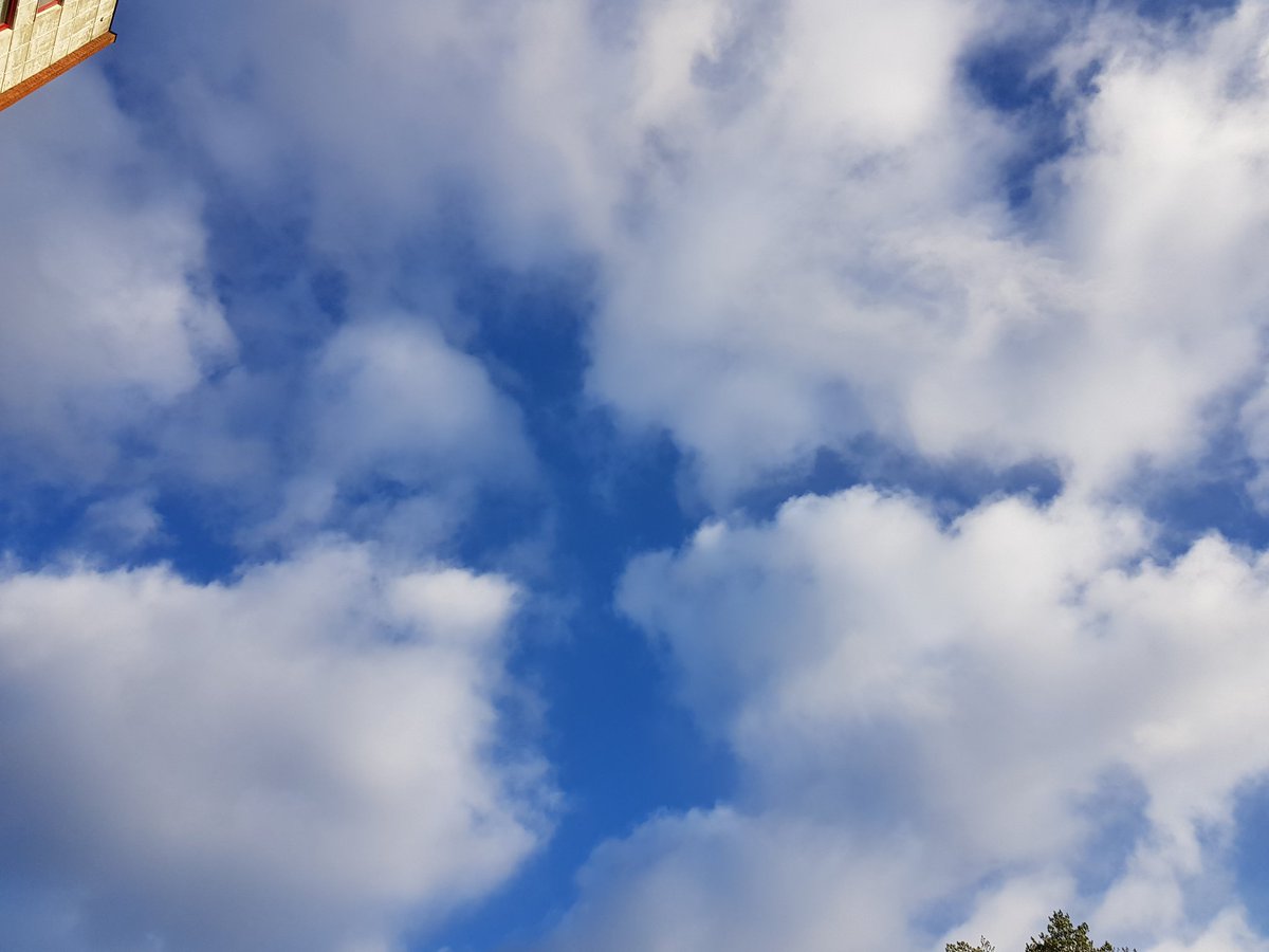 Dilyanka4's tweet photo. #sky #clouds #blue #ehite #dau #fotography #foto #landscape #landscapephotography #tree #blue #landscapelovers https://t.co/kaNOYWZCmx