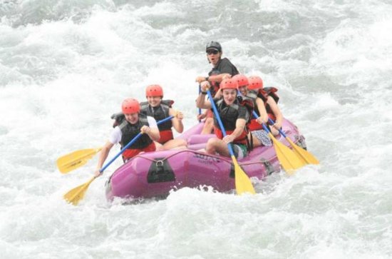 Athens Abroad tweet media