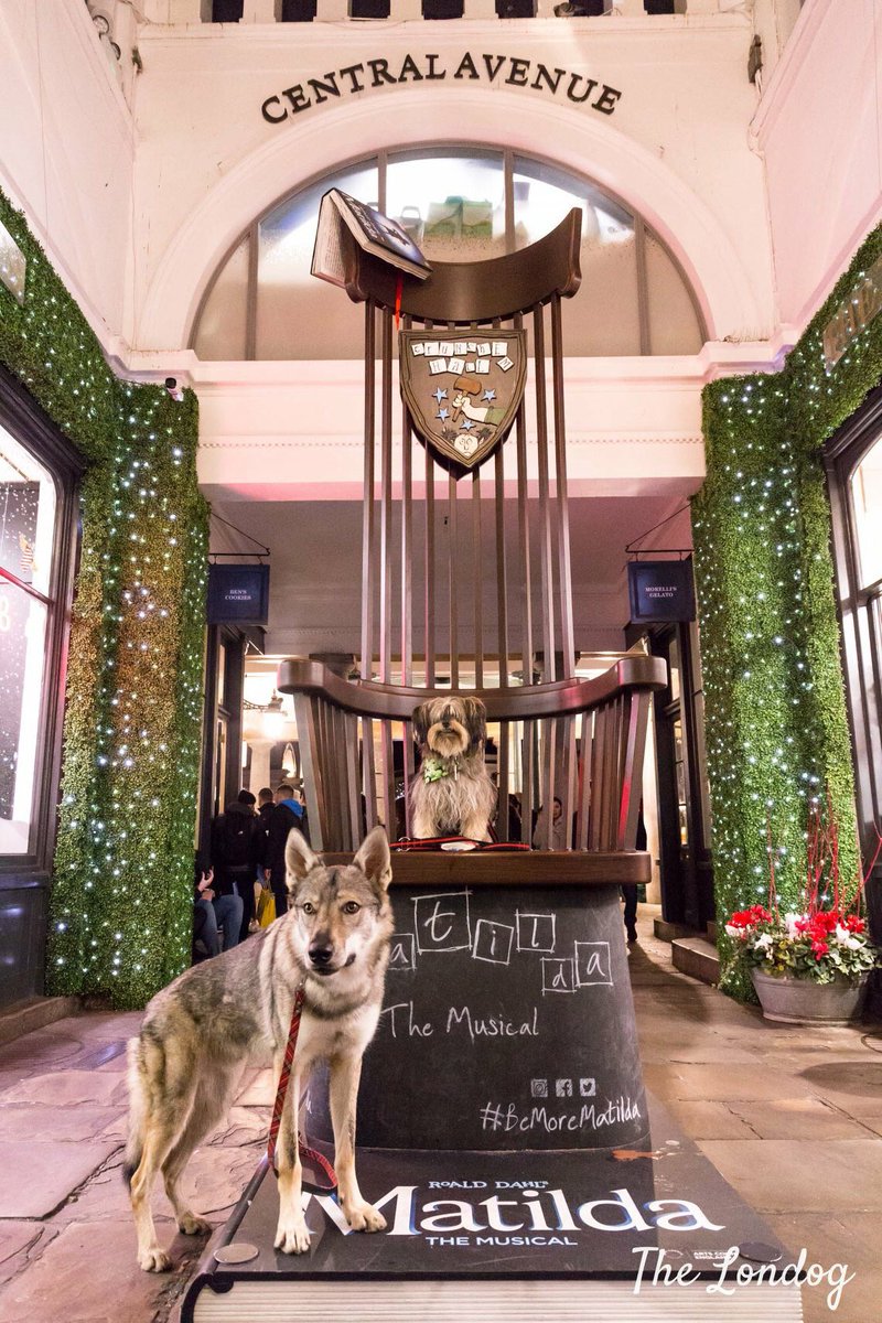 TheLondog's tweet photo. Full on of #LondonDogEvents this week, starting today with @hiroandwolf and other exciting Christmas #dogevents and more!
https://t.co/maEoLE4Ad9
#dogsoflondon #thingstodowithyourdog #whatson https://t.co/lzC3n2RlUS