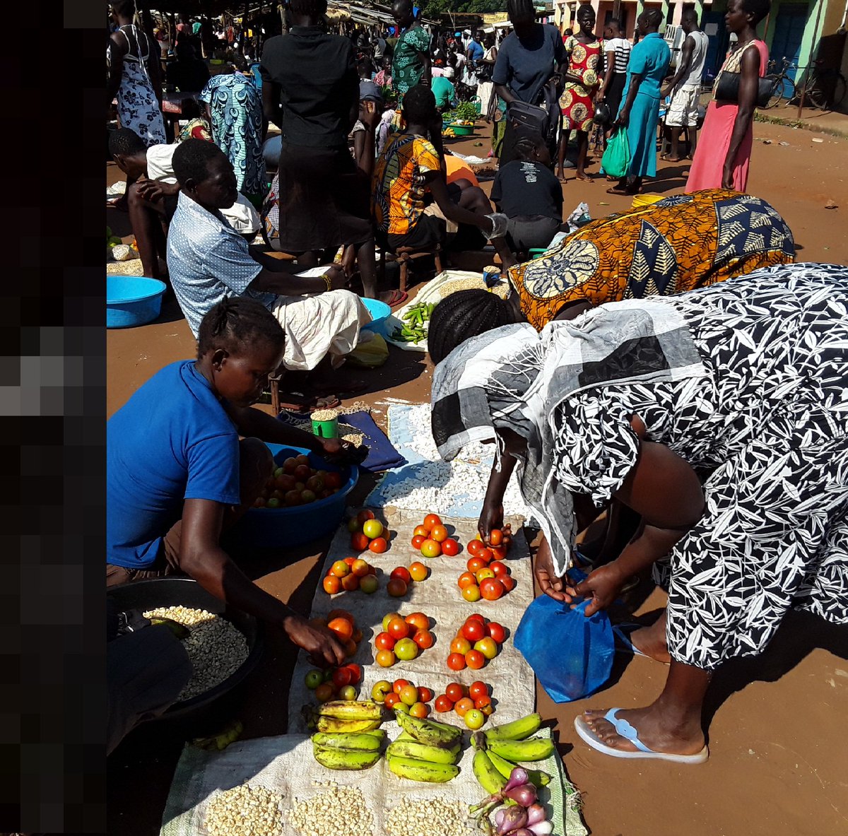 💰The farmers in Maridi we support with <a href="/giz_gmbh/">GIZ</a> mean business! After a successful season, time to collect the fruits of hard labour by selling the surplus produced #SDGs #SouthSudan