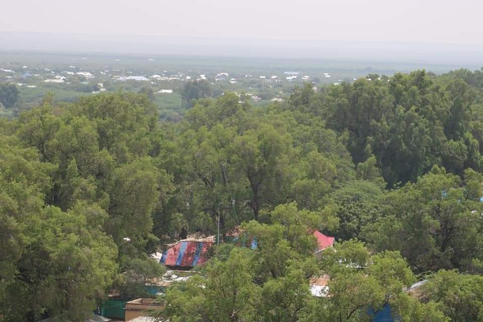 mwalim_bwana's tweet image. #Luuq #Gannane of #Somalia