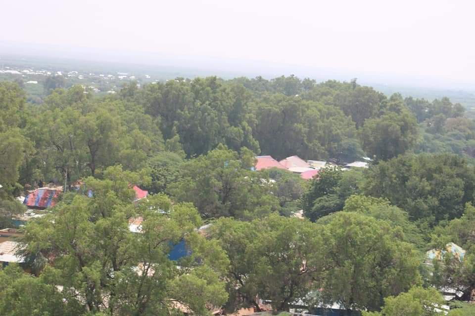 mwalim_bwana's tweet image. #Luuq #Gannane of #Somalia