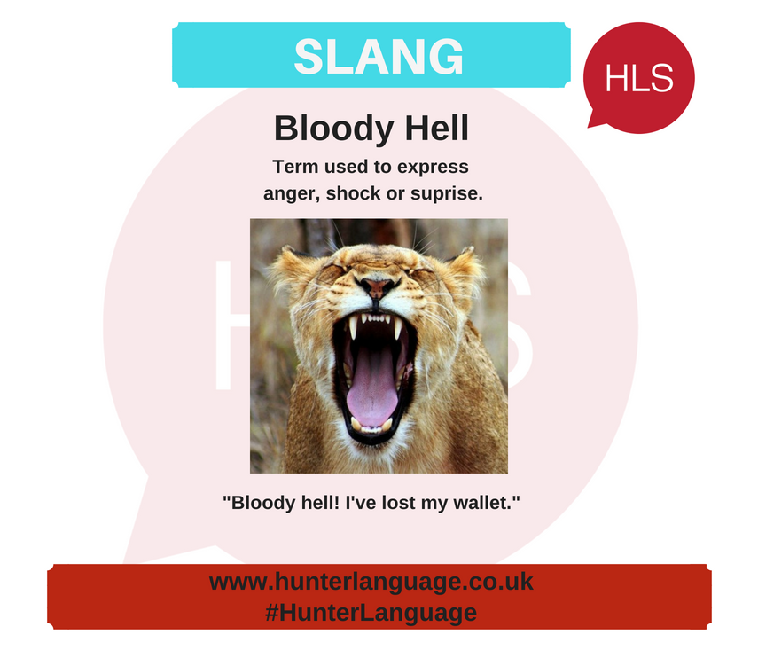hunter_language's tweet photo. @hunter_language Slang of the Week: Bloody Hell

#slangoftheweek #britishslang #learnenglish #englishslang #bristol #speakenglish #HunterLanguage #HLS #WeAreHLS https://t.co/MyWVCHwfVL