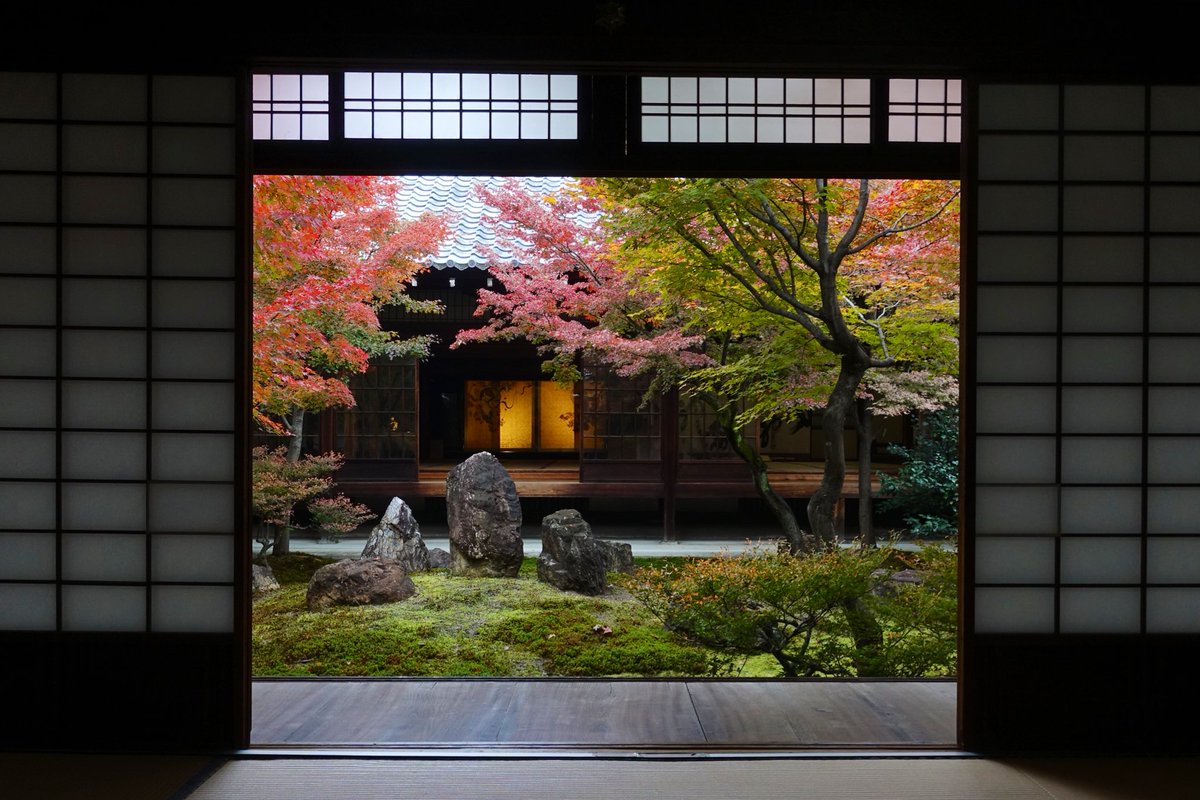 京都の紅葉 建仁寺 両足院 東福寺 勝林寺 光明院 妙法院 智積院 清水寺 Togetter