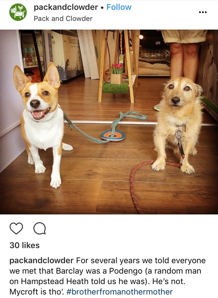 Stephen Holmes tweet media