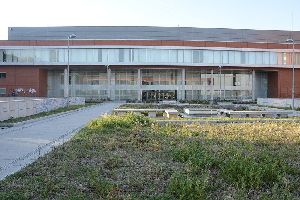 16th Workshop on Syntax, Semantics and Phonology (@wossp2019) | Twitter