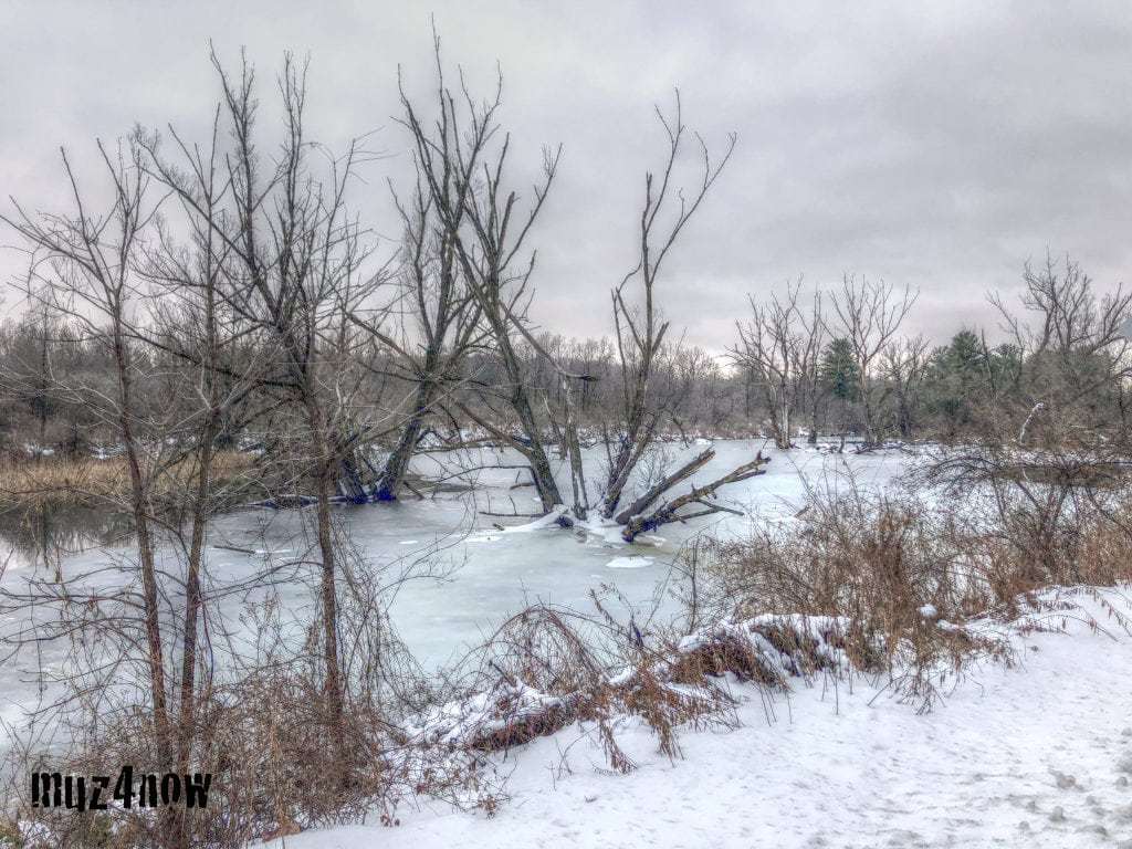 muz4now's tweet image. Stark Winter muz4now.com/2018/stark-win…