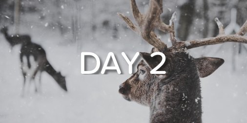 Poseidon_Eco's tweet photo. #12DaysOfPoseidon: Ahead of our token sale in June, we appointed @ChidiAkutu as Chief Operating Officer (COO) and @taglia as Chief Technology Officer (CTO). As expected, their vast experience has already proven to be an invaluable addition to the team! https://t.co/ap0EXYMDtg https://t.co/DRoDMjnJtl