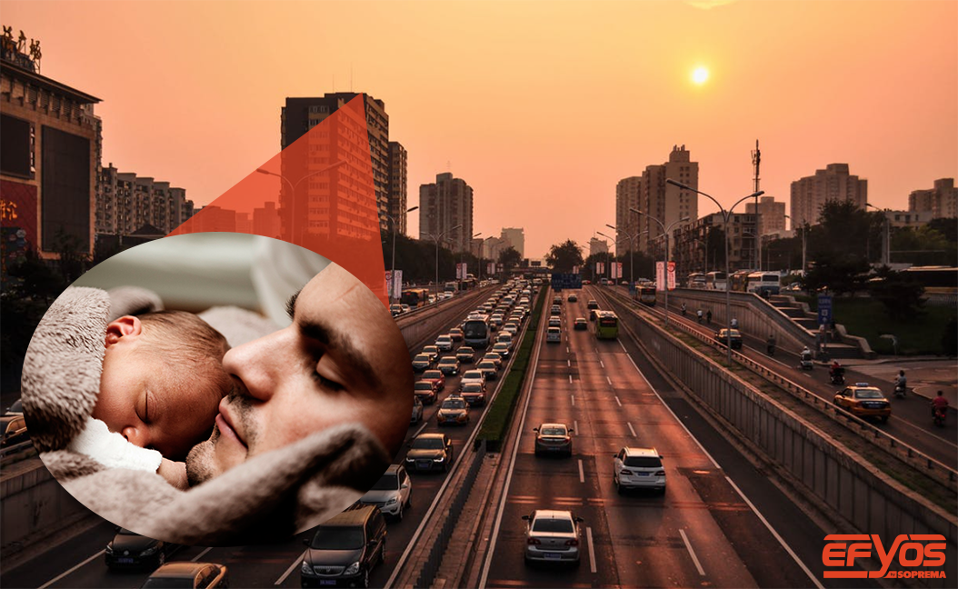 SopremaIberia's tweet photo. 🔇 El estrés de la ciudad puede impedirte disfrutar del silencio y la tranquilidad: no dejes que el ruido interrumpa tu #confort
▶️ #SopremaIberia te ofrece las mejores soluciones en #AislamientoAcústico con la familia #Tecsound de #Efyos
🌐 https://t.co/FI2jYSdI6v
#Soprema https://t.co/fE154Ak7XQ