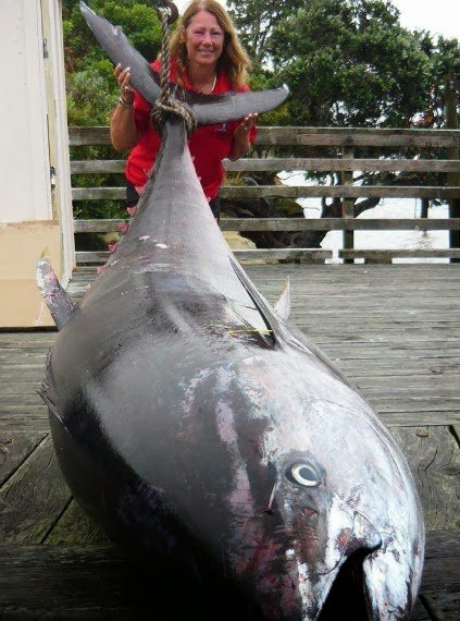 ExpressFishing's tweet photo. 😍The bigtuna fish🐟🐟#tuna #bluefintuna #yellowfintuna #offshoretrolling #fishing #market #pescaria #mercado #atun #food #fish #blue #yellow #yellowfin #yellowfintuna #China #tunafishing #amarillo #photography #everyday #life #trolling #marlinfishing #marlin #offshorefishing https://t.co/HyFF8C42Uj