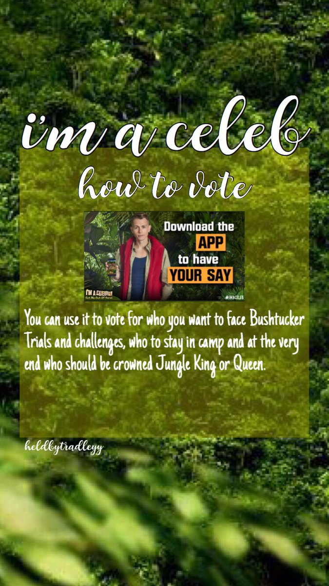 __megsmith's tweet photo. @TheVampsJames this is what i put on my instagram story every night, i summarise what james did in the episode for international fans and remind people to vote, even if they don’t watch it💚 #KeepJamesIn #TeamJames #VoteForJames #Imaceleb @JoeManager @TheVampsJames https://t.co/25uuo6a4L6