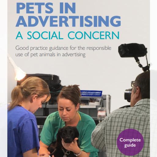 Dogs on trampolines? Pugs on #Christmas jumpers? Today we have launched good practice guidelines to encourage advertisers to avoid such #PromoNoNos and depict #PetsInAds responsibly #animalwelfare ow.ly/g2sU30mR6GU