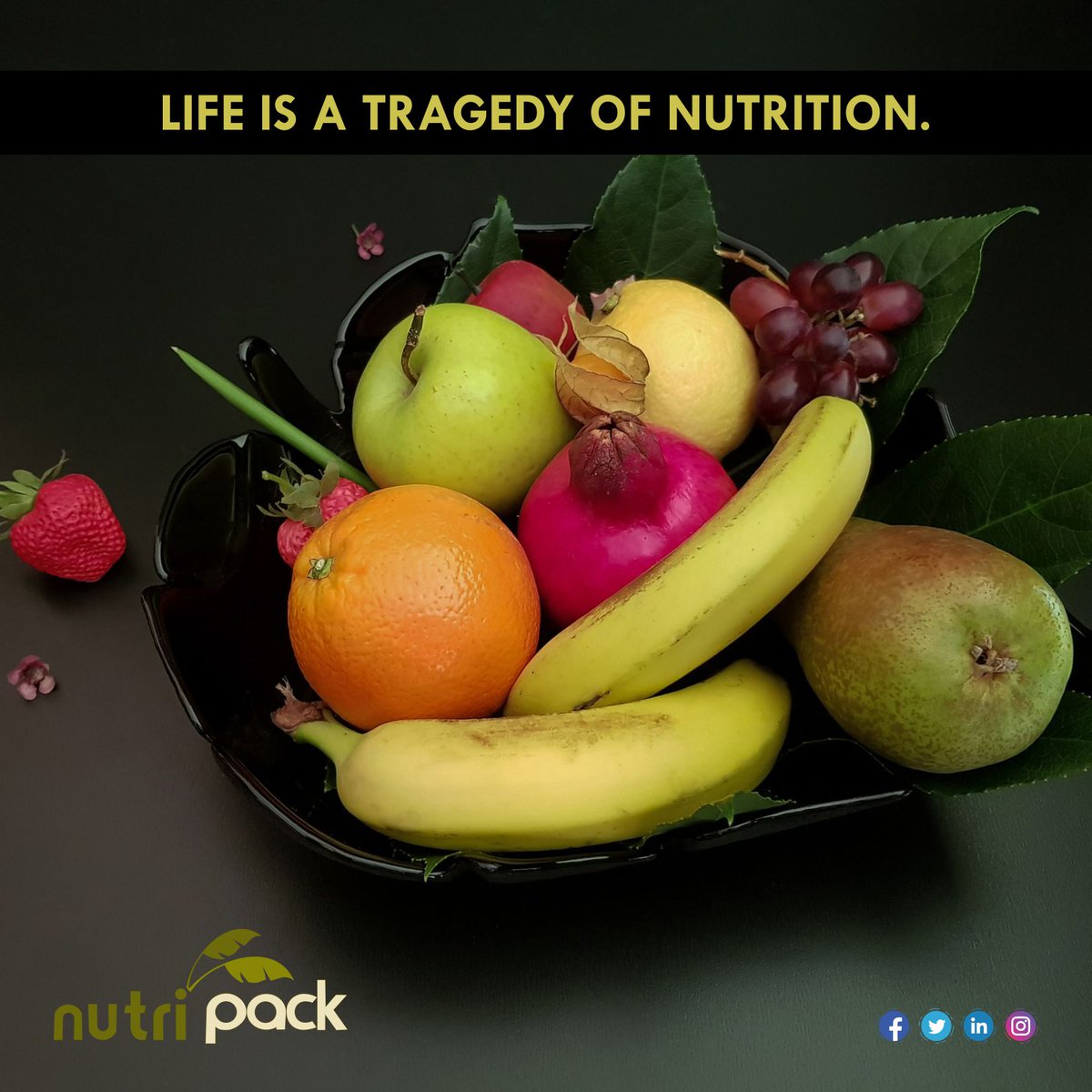 nutripack1's tweet photo. Life is a Tragedy of Nutrition 
For more details- 7694934754 
Email: info@nutripack.org.in @nutripackbanana #nutrition #nature #nutripack #healthylife #happiness #fitnessgoals #healthymind #healthfacts #foodfacts #ayurvedic #nutripackProduct  #Ayurvedic #BestAyurvedicproduct https://t.co/RILFgTWRhW