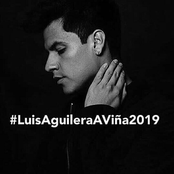 Fansc_Aguilera's tweet photo. @elfestival #LuisAguileraAViña2019 #luisaguileraAviña2019 https://t.co/6MEXZuCtPz