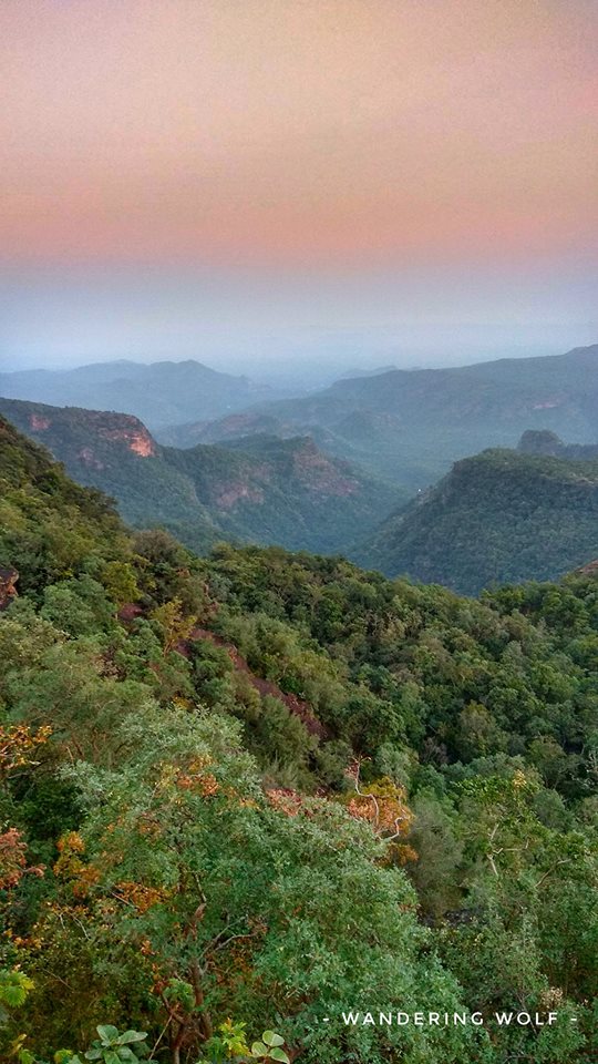 ewaindia's tweet photo. Dark and light 
striking
each other,
vividly etching wild colors
through the horizon.
The charm of Sunset in Pachmadhi...
#CentralIndia #Trekking #Adventure #Hiking #Camping #Naturewalk #EWAIndia #nightcamping #pachmarhi #pachmarditreks #foresttrek #natureatbest https://t.co/dixctG8Sad