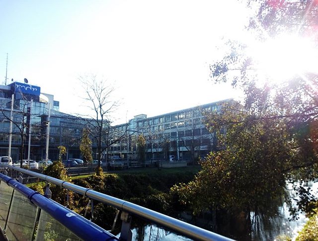 meinhallesaale's tweet photo. #hallorenbrücke #hallorenbruecke #halloren #mittwoch #unterwegs #november #sommer #mdrfunkhaus #marktplatz #hallesaale #halleandersaale❤️ #halle #sachsenanhalt #straba #tram #strassenbahn #straßenbahn https://t.co/YjZ78RJCoX https://t.co/RDOEqln2yT 📷: @mein_halle_an_der_saale https://t.co/TNZ2YwU223