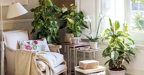 Inferco's tweet image. Se va acercando el invierno y con él, llega el frío. Y lo bien que se está en casa con la calefacción, la mantita y la familia.. pero, has pensado si tus plantas están igual de felices?
Ahora sí que vamos a pasar un invierno genial! ❄️☃️

inferco.com/en-casa/llega-…