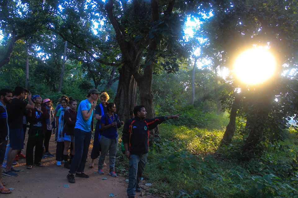 “There is an unreasonable joy to be had from the observation of small birds going about their bright, oblivious business” 
― Grant Hutchison, The Complete Lachlan
#satpurabirding #satpuranightcamping #satpurajungletour #educationtour #wildlifetraining #vanabandhu #ewaindia