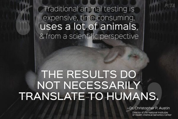 Are humans necessary. Tested on animals. Testing Cosmetics on animals. Энимал тест. No Tested on animals перевод.