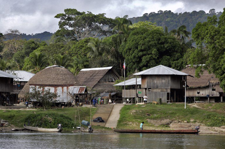 la1ere's tweet image. Nouvelle vague de suicides chez des #Amérindiens de #Guyane. Les suicides des Amérindiens sont 25 fois plus nombreux que les suicides en métropole, et 8 à 10 fois plus importants que les suicides sur le littoral guyanais. 
la1ere.francetvinfo.fr/nouvelle-vague…