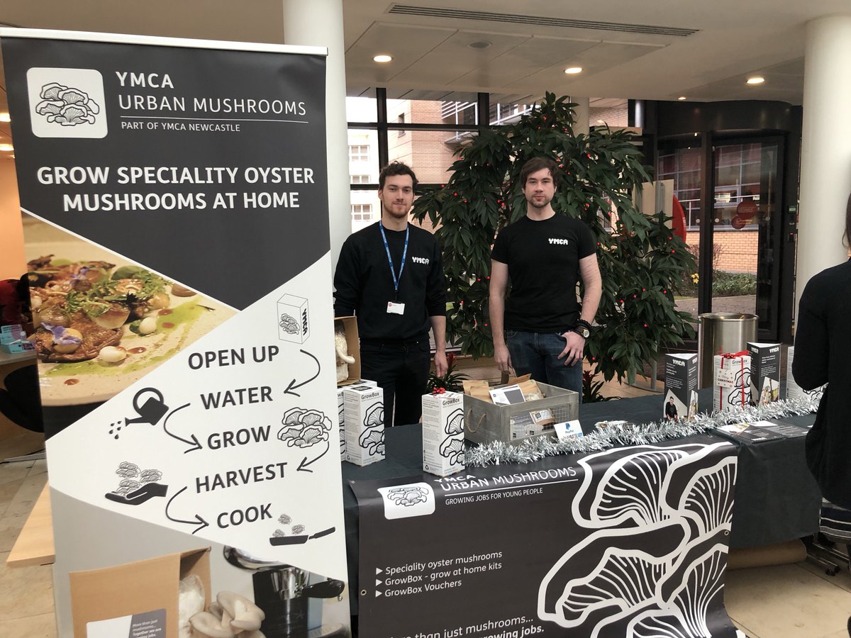 VMFoundation's tweet photo. Great to have the young apprentices from @YMCANewcastle @urban_mushrooms with us today @VirginMoney selling their mushroom grow boxes to colleagues #SocialEnterprise #GrowingJobsForYoungPeople #VMFCommunity https://t.co/WbdHDnB2rJ