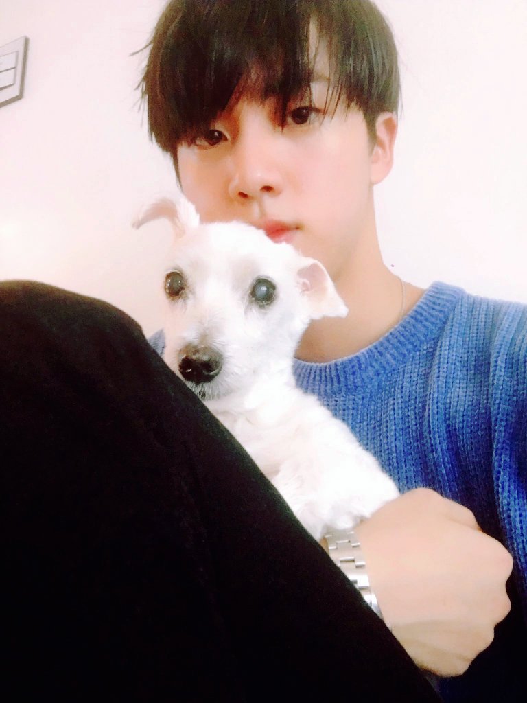 twitter/tinyseokjinnie